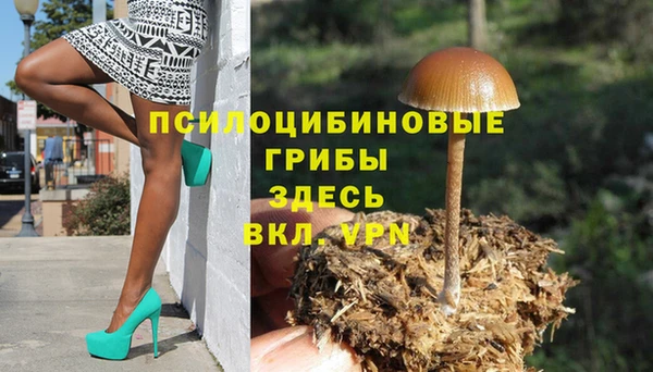 меф Тихвин