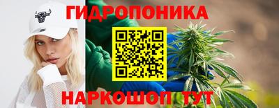 a pvp Гусь-Хрустальный