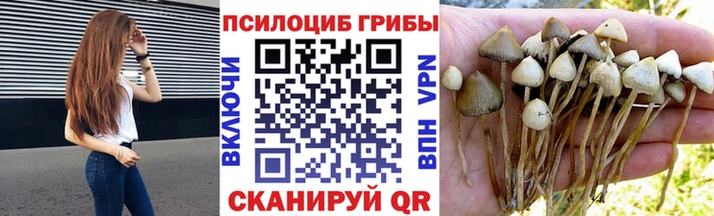 mega рабочий сайт  купить   Ишимбай  Псилоцибиновые грибы Cubensis 