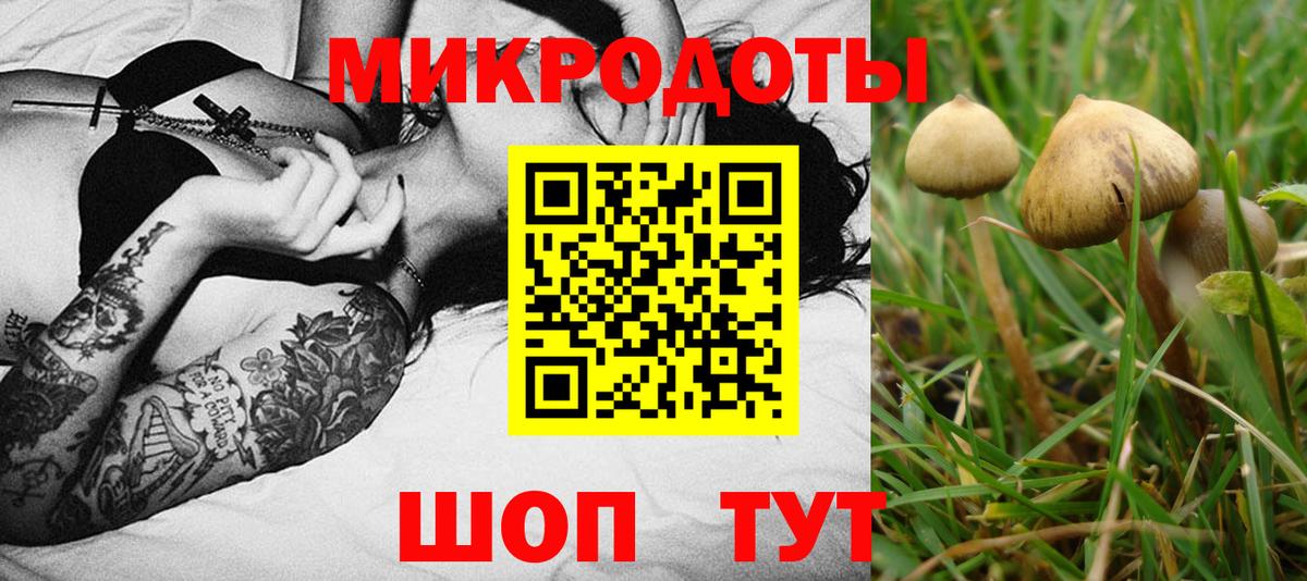 Псилоцибиновые грибы Psilocybe Ишимбай